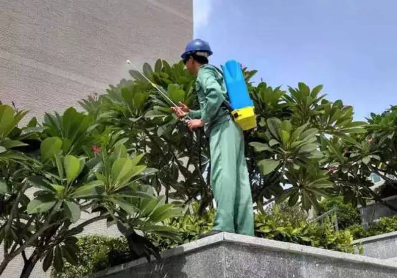 机关生活服务:提升办公效率的幕后支持